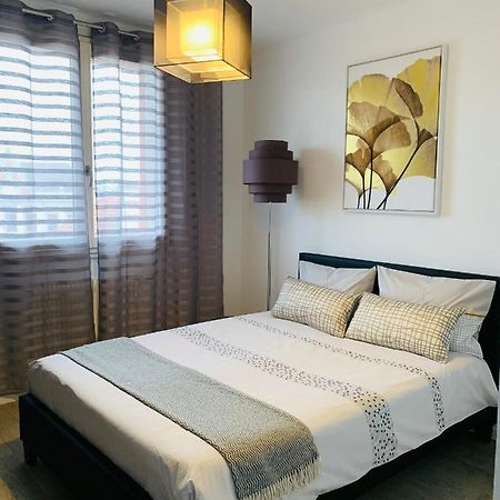 St Louis Appartement Roanne Dış mekan fotoğraf