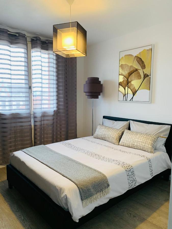 St Louis Appartement Roanne Dış mekan fotoğraf