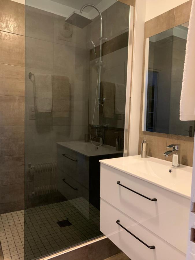 St Louis Appartement Roanne Dış mekan fotoğraf