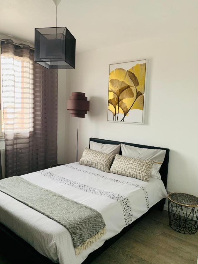 St Louis Appartement Roanne Dış mekan fotoğraf